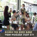 코리얼트립(COREAL TRIP) | 골드코스트 커럼빈 동물원 생츄어리 가는법 코알라체험 입장권