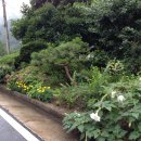 금주농장 이미지