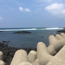 하모리-36 이미지