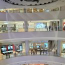 부산 롯데백화점 광복점 아쿠아틱쇼 이미지