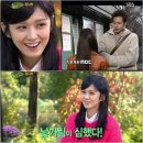 뉴힐링캠프 이미지