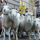 월가 농장 이미지