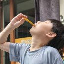 아이 변비 장 건강 유산균 추천, 굿앤키즈 생유산균 실사용 후기