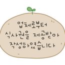 가람대패 이미지