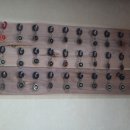 흑돼지제주정 이미지