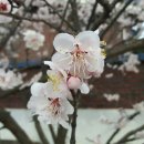 정족2리 이미지