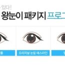 왕눈이PC 이미지