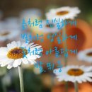 미스터홈즈부동산중개 경기북부센터 이미지