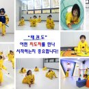 경희대 호림 태권도장 이미지