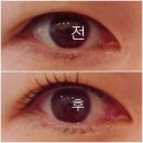한국지엠마산양덕바로서비스 | 창원 마산 양덕동 속눈썹 펌:)쏘베리뷰티