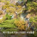 며칠 째 냇가에 방치된 가방, 수상한 느낌에 열어 보니... 이미지