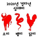 🐁 2020년 경자년 삼재띠 해 이미지