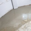 연미새시장 이미지