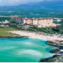 대명리조트 제주 이미지