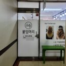 셀리붙임머리