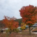 중부환경 노동조합 이미지