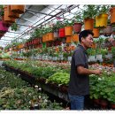 동정농장 이미지