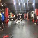 챔프복싱짐 이미지