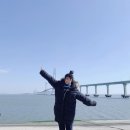 V로그영상편집 이미지