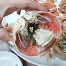 구룡포회 이미지