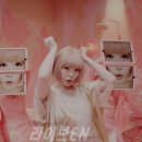 키미노미카타