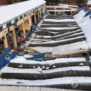 농수산물시장 이미지