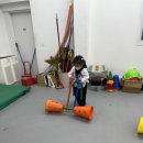 차돌태권도장 네이버블로그