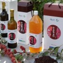 보리수마을 이미지