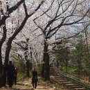 와우산배수지 이미지