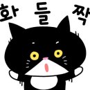 공간 테니스 이미지