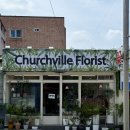 성당동꽃집 Churchvilleflorist 알로카시아 화분 구입 후기