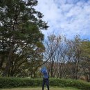 새울목오리탕 | 천룡CC 라운딩 후기(feat. 단풍 풍경)