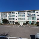 표선리-17 이미지