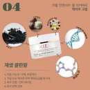 지엘(Xiel) 이미지