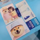 25시카 | 새해 목표 깐달걀 피부결 완성! 올리브영 홍대타운 뚱시바 x 이니스프리 레티놀 시카 흔적 앰플 팝업 후기