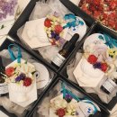 즐거운드라이세상 이미지