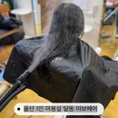 아보헤어