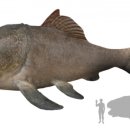 마이산 흑염소 농장 이미지