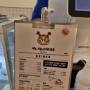 미스 옐로우씨 이미지