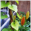 경희회식당 이미지