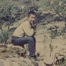 한국천연색현상소 Daum카페