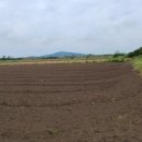 상모리-16 이미지