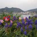 힐링파크쑥섬쑥섬 이미지