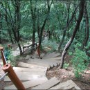 우면산 (소망탑 깔딱고개) 이미지