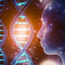 자연+인간+우연 이미지