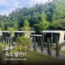 스페이스&창 - 부천시 원미구 부흥로 380 | 전주 감성숙소 스페이스셔틀 E동 후기 마이산 여행 숙소 추천