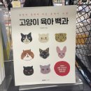 오구피자성대점 | 제목없음 no title