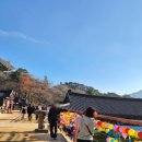 가조가마솥육개장순두부 이미지