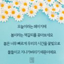 성산골 | 閨閤之臣(규합지신) / 가야왕조실록(80)
