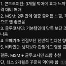 연골 티스토리